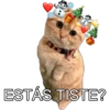 🎄 MiChIS NaViDeÑoS 🐈 13