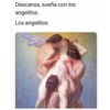 DESPEDIDAS 8