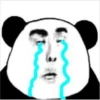 panda ʕ •ᴥ•ʔ 20