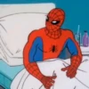 SPIDERMAN MEMARDOS (NO TEXT) II 12