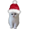 🎄 MiChIS NaViDeÑoS 🐈 14