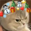 🎄 MiChIS NaViDeÑoS 🐈 15