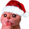 🎄 MiChIS NaViDeÑoS 🐈 16