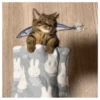 sloten memes and twitter pets 16