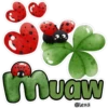 ❤️🖤🐞🐞Cute Ladybug🐞🐞🖤❤️ 10