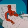 SPIDERMAN MEMARDOS (NO TEXT) II 13