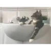 gatitos3 15