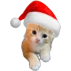 🎄 MiChIS NaViDeÑoS 🐈 19