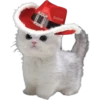 🎄 MiChIS NaViDeÑoS 🐈 21