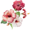 Flowers Great Stickers 12
