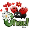 ❤️🖤🐞🐞Cute Ladybug🐞🐞🖤❤️ 11