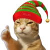 🎄 MiChIS NaViDeÑoS 🐈 22