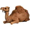 222 20
