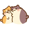 Hello Bichi Mao! 13