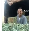 Acessos 22