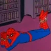 SPIDERMAN MEMARDOS (NO TEXT) II 20