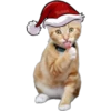 🎄 MiChIS NaViDeÑoS 🐈 25