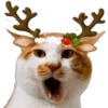 🎄 MiChIS NaViDeÑoS 🐈 27