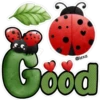 ❤️🖤🐞🐞Cute Ladybug🐞🐞🖤❤️ 13