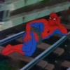 SPIDERMAN MEMARDOS (NO TEXT) II 23
