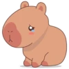 Capybara Sticker Pack 23