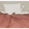 gatitos3 24