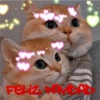 🎄 MiChIS NaViDeÑoS 🐈 28