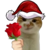 🎄 MiChIS NaViDeÑoS 🐈 29