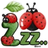 ❤️🖤🐞🐞Cute Ladybug🐞🐞🖤❤️ 15