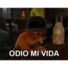 GATO CON BOTAS 11