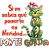 Grinch cat (Anti-Xmas)💚🎁 6
