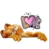 Garfield amoroso💞1🇵🇪Clásica 6