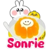 Conejito 🐰lindo 2 🇲🇽 5