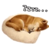 Durmiendo 2 6
