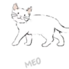 🧿variados Gatituss🐈🐱 10