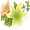 Flowers 5 7