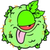 Buds Monster 5