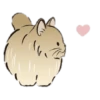 🧿variados Gatituss🐈🐱 13