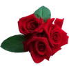 Flowers 8 7