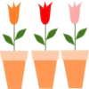 Flowers 5 8