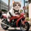 Gatitos💞7🇵🇪Clásica 8