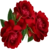 Flowers 5 9