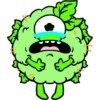 Buds Monster 7