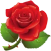 Flowers 8 10