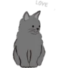 🧿variados Gatituss🐈🐱 16