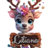 Nombres Navideños🎄💞2🇵🇪Clásica 12