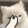Expresiones perrito blanco 3🤍 12