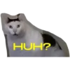 MEME- World 12