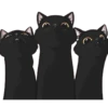 🧿variados Gatituss🐈🐱 17
