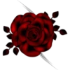 Flowers 5 11
